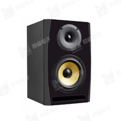 D-6 PROFESSIONAL ACTIVE MONITOR SYSTEM